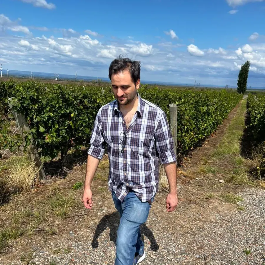 Viñedo de Finca Ikal, Ribera de Las Tunas